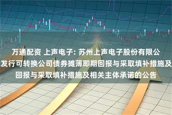 万通配资 上声电子: 苏州上声电子股份有限公司关于向不特定对象发行可转换公司债券摊薄即期回报与采取填补措施及相关主体承诺的公告