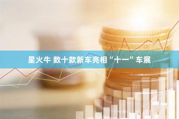星火牛 数十款新车亮相“十一”车展