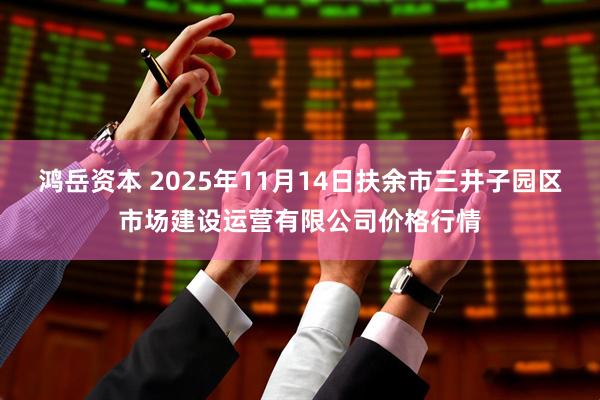 鸿岳资本 2025年11月14日扶余市三井子园区市场建设运营有限公司价格行情