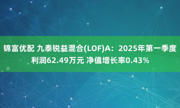 锦富优配 九泰锐益混合(LOF)A：2025年第一季度利润62.49万元 净值增长率0.43%