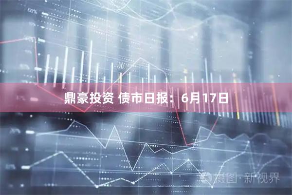 鼎豪投资 债市日报：6月17日