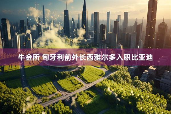 牛金所 匈牙利前外长西雅尔多入职比亚迪
